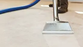 Carpet cleaning wand head gliding over a light carpet during hot-water extraction, Staten Island, NY.
