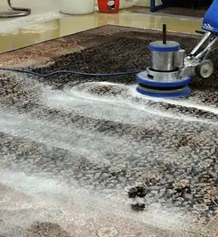 Professional rug cleaning with a rotary floor machine and shampoo foam, deep-cleaning an area rug Staten Island, NY.